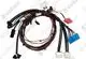 VAILLANT-Kabelbaum-VWL-57-77-127-5-IS-Vaillant-Nr-0020273851 gallery number 1